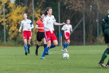 Bild 35 - B-Juniorinnen HSV - VfL Wolfsburg : Ergebnis: 2:1